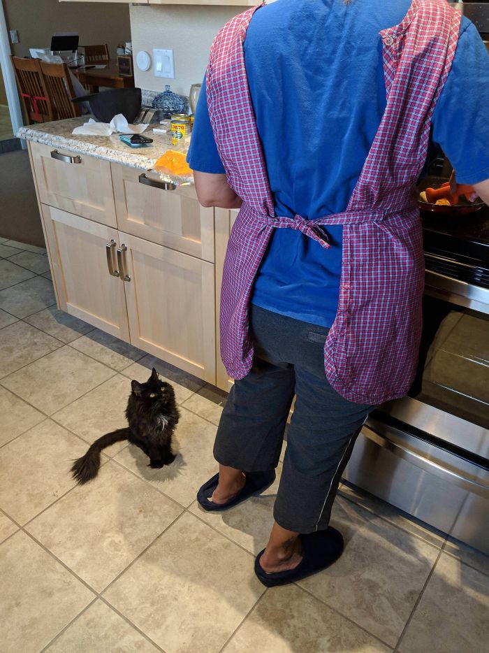 Over 19 Years Old And Still Begging For Scraps