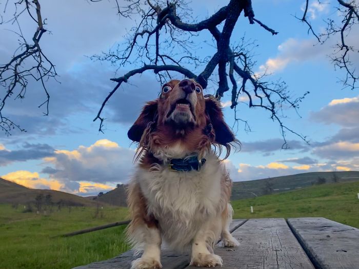 Never Calm Before The Storm