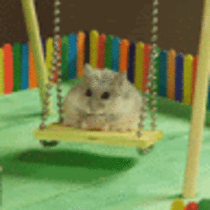 valentinacristo-ezewoko avatar