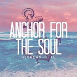 willow_branch avatar