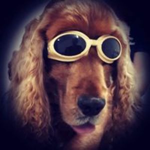 1billanderson avatar