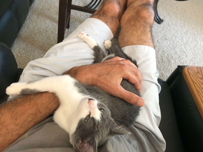 Just Adopted This Little Girl. So Far We’re Getting Along!