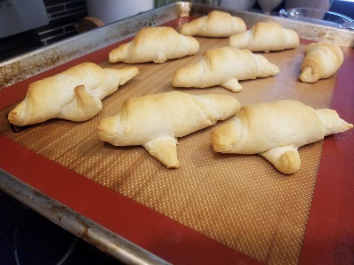 My Crescent Rolls Came Out Looking Like Walruses That Just Can't Anymore