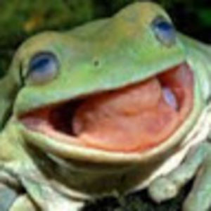 bradleylarson avatar