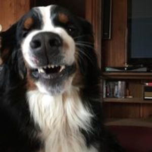 thomas_mcdonough avatar