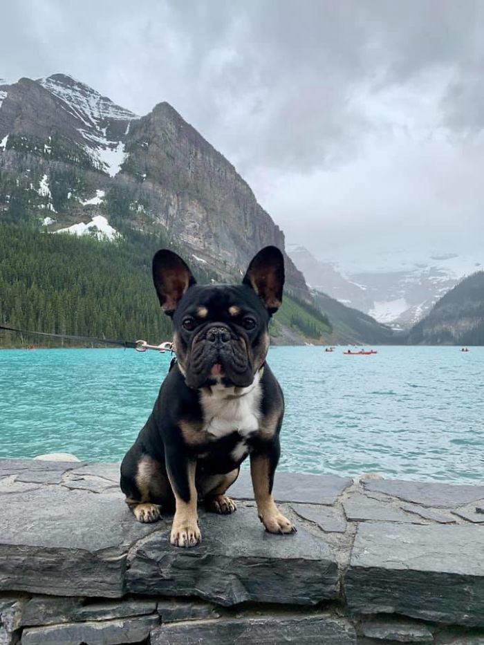 Met The Cutest Of Cuties In Da Mountains Who Travelled 9 Hours For Da View And His Name Is Buster