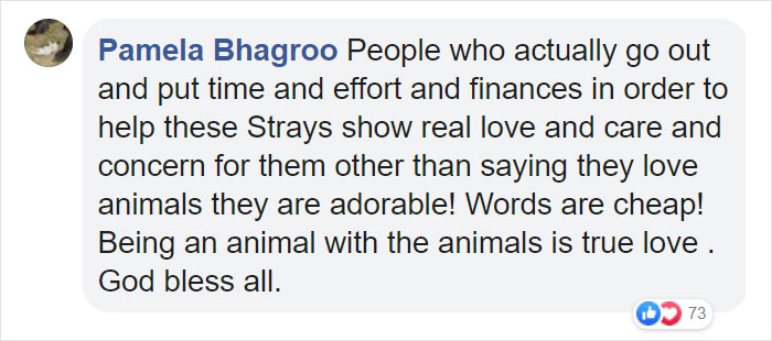 Woman Records This Stranger Leading A Parade Of Dogs, Cats, And Birds Down The Street, And The Scene Looks Magical