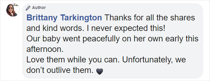 "Before You Get A Puppy, Imagine Yourself 10+ Years From Now": Woman's Brutally Honest Post About Getting A Dog Goes Viral