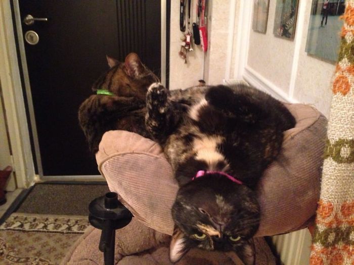 Foxy And Xx Ages 4 And 13. This Is How She Sleeps Everywhere!