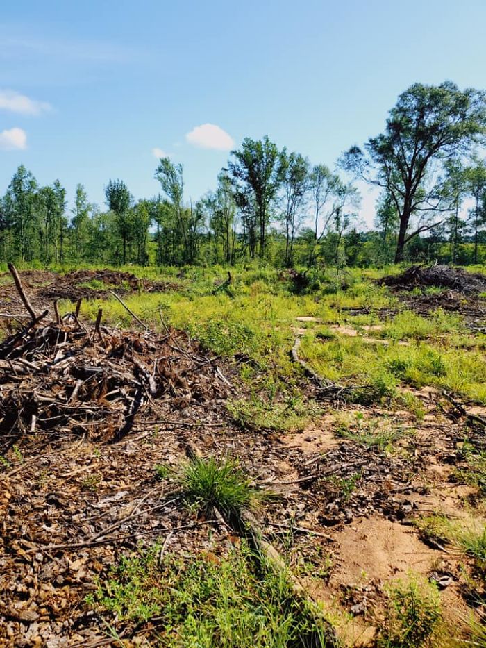 19 Black Families Decide To Build Their Own Safe City, Purchase 97 Acres Of Land In Georgia 19 Black Families Decide To Build Their Own Safe City, Purchase 97 Acres Of Land In Georgia