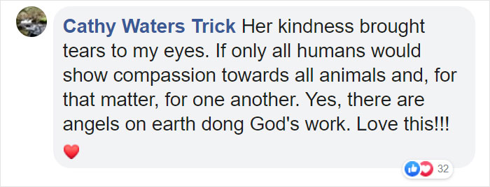 Woman Records This Stranger Leading A Parade Of Dogs, Cats, And Birds Down The Street, And The Scene Looks Magical