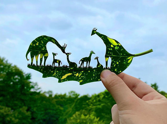 Hand holding a leaf with intricate giraffe-shaped vignettes carved by a Japanese artist from natural leaves outdoors.