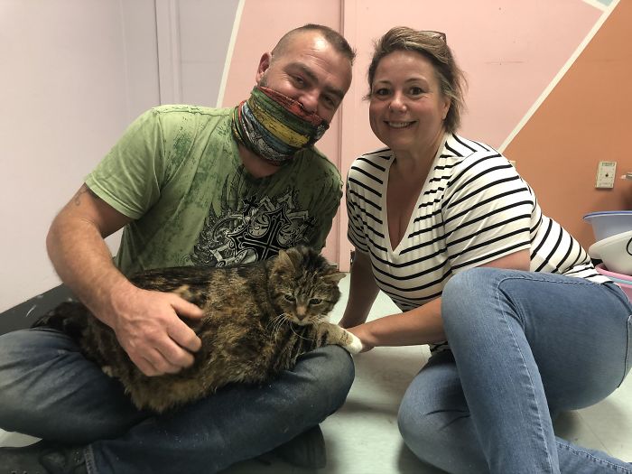 30 Lb Chonk Cat Named Lasagna Gets New Home, New Owners Thrilled With Getting Lasagna And Helping Her Get Healthy 30 Lb Chonk Cat Named Lasagna Gets New Home, New Owners Thrilled With Getting Lasagna And Helping Her Get Healthy