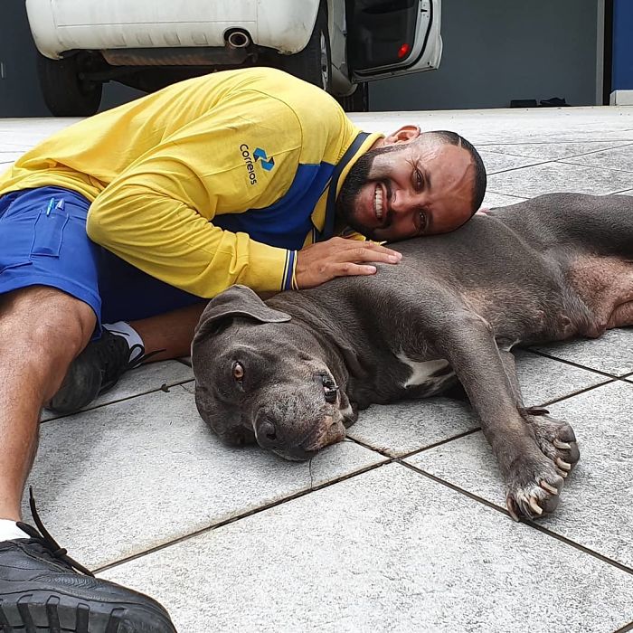 This Brazilian Postman Breaks The Stereotype That Dogs Don't Like Postmen (120 Pics)