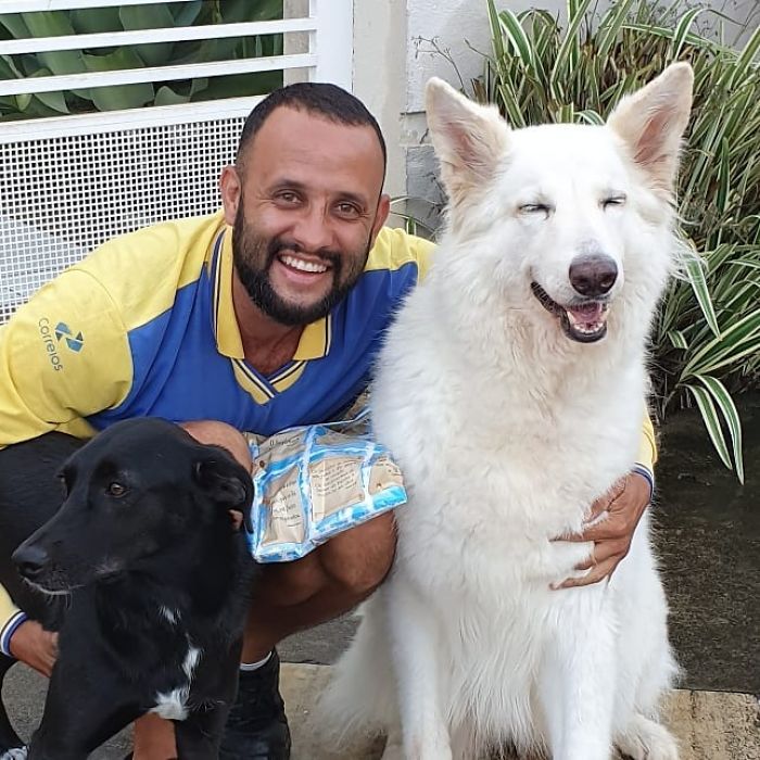 This Brazilian Postman Breaks The Stereotype That Dogs Don't Like Postmen (120 Pics)