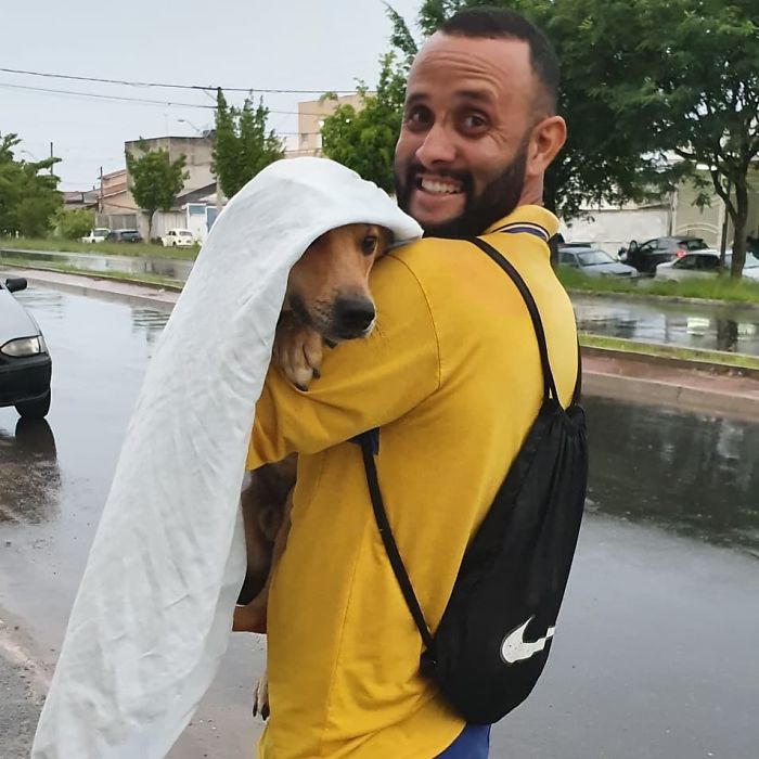 This Brazilian Postman Breaks The Stereotype That Dogs Don't Like Postmen (120 Pics)