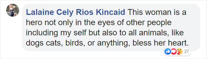 Woman Records This Stranger Leading A Parade Of Dogs, Cats, And Birds Down The Street, And The Scene Looks Magical