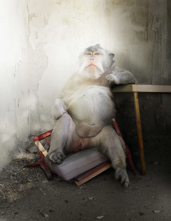 The Allegorical And Unusual Nature Of Simen Johan