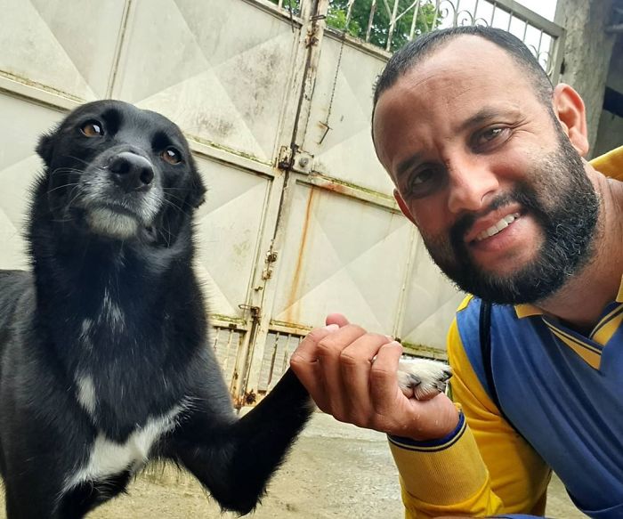 This Brazilian Postman Breaks The Stereotype That Dogs Don't Like Postmen (120 Pics)