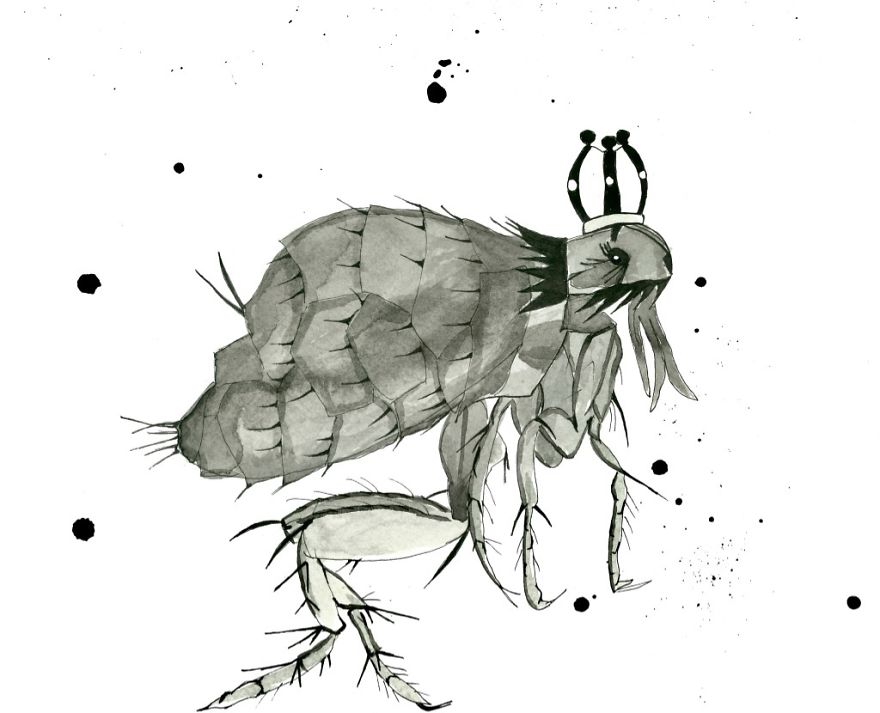 Aedyn Jak Art From His Books