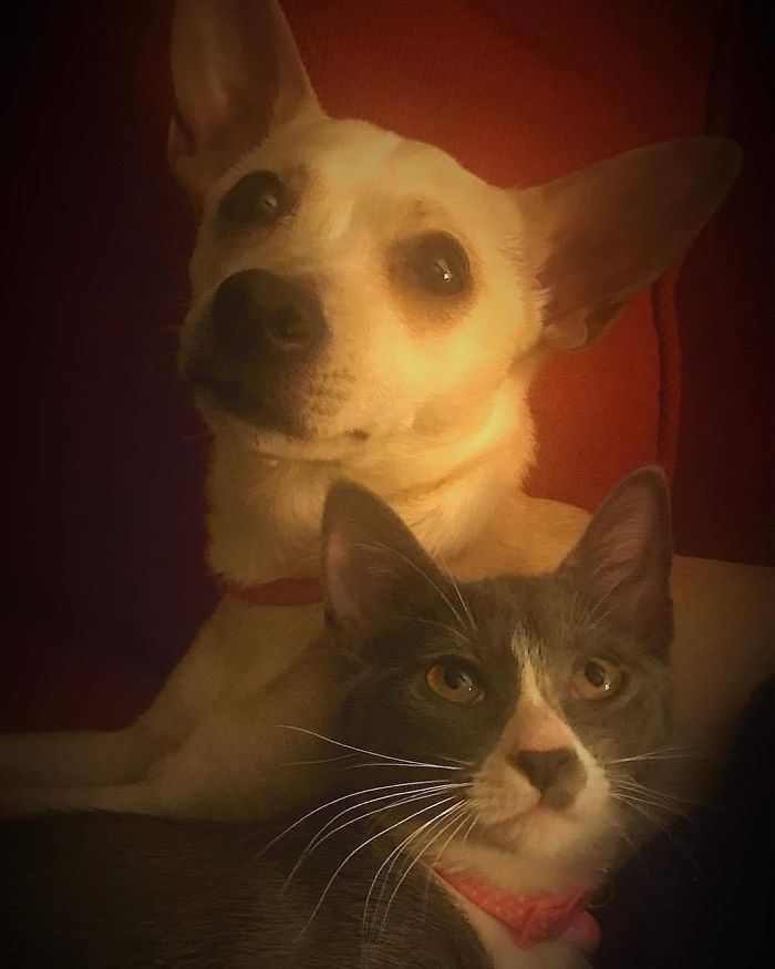 Besties Hope And Kaya