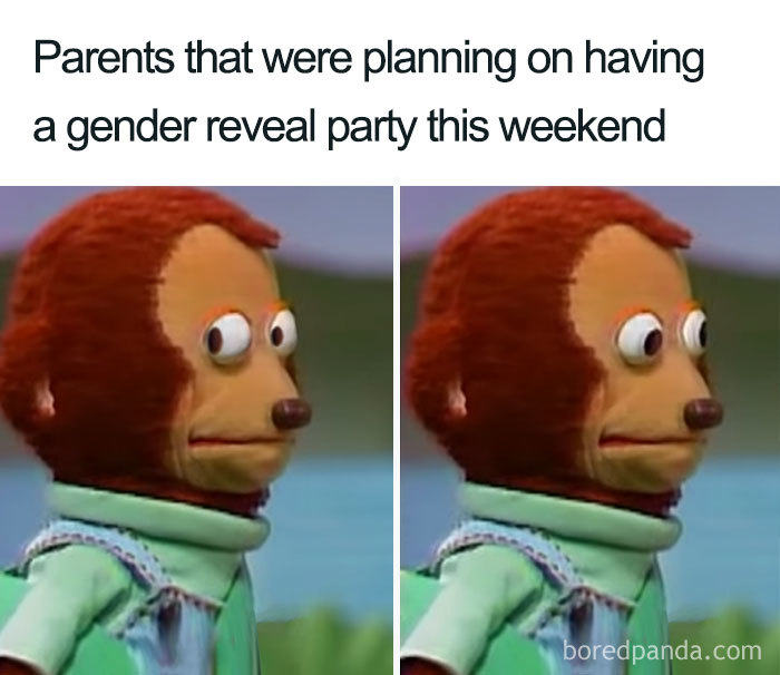 Gender-Reveal-Jokes