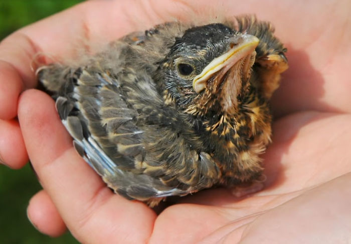 Person Asks Others To Share What Widely Accepted Facts They Know Are Wrong, And Here Are 30 Of The Most Interesting Responses