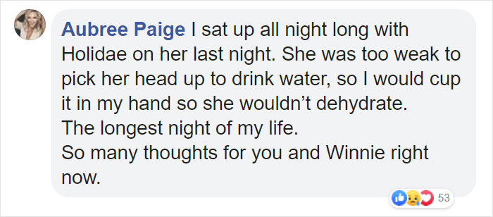 "Before You Get A Puppy, Imagine Yourself 10+ Years From Now": Woman's Brutally Honest Post About Getting A Dog Goes Viral