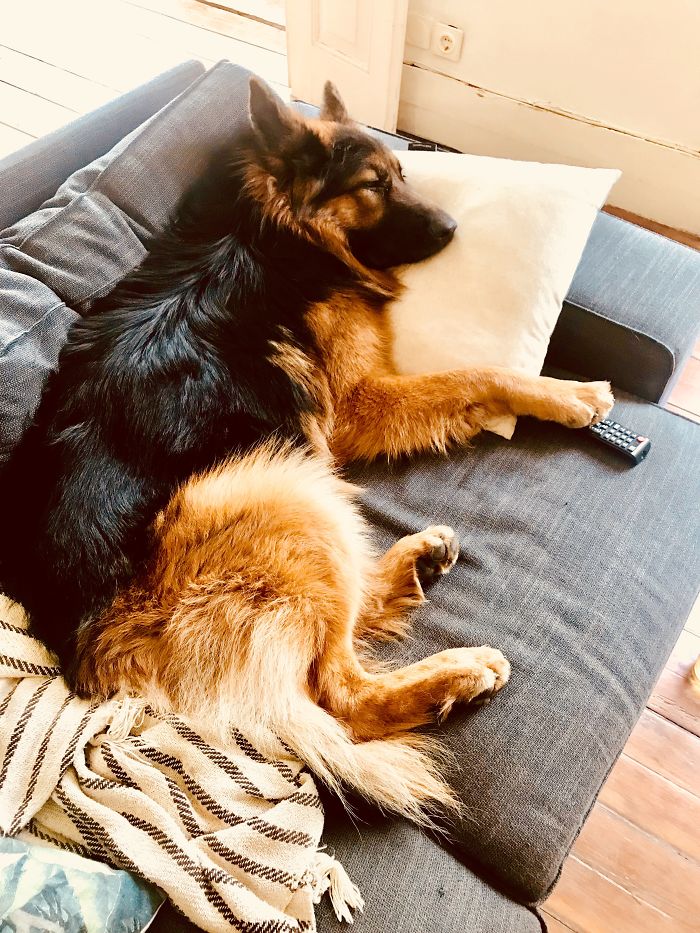 Caju Conde... “Being Human 101”