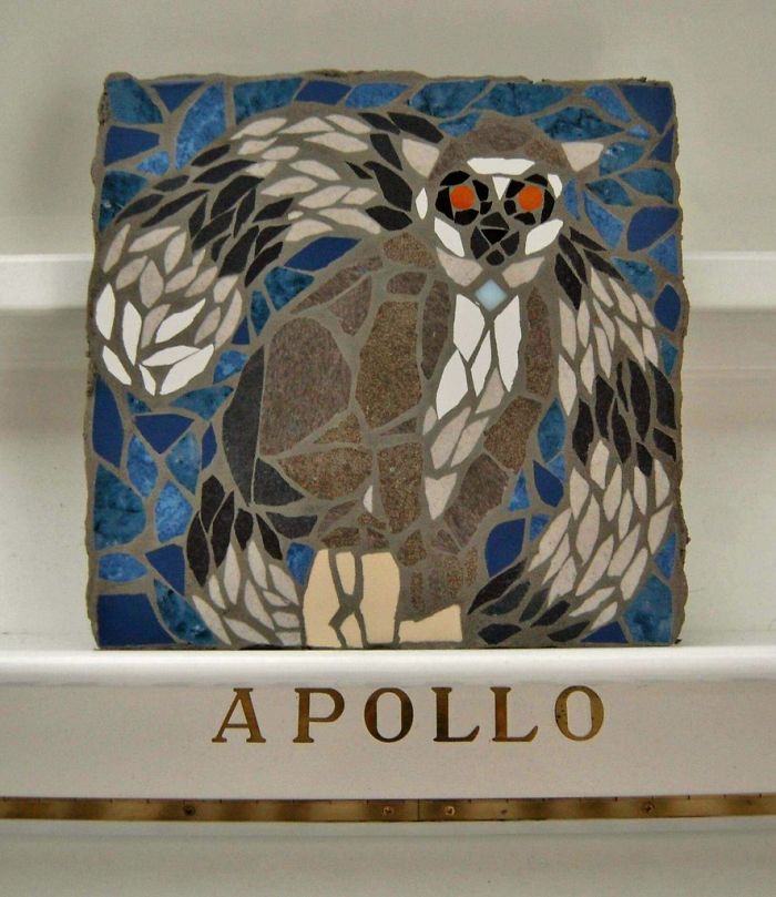 Cats-Mosaics-Street-Art-Schaerbeek-Brussels-Belgium