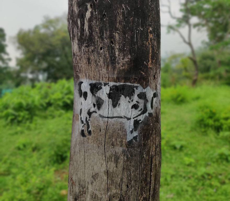 Astitva Inspires Unity Across India With World Cow Astitva Inspires Unity Across India With World Cow