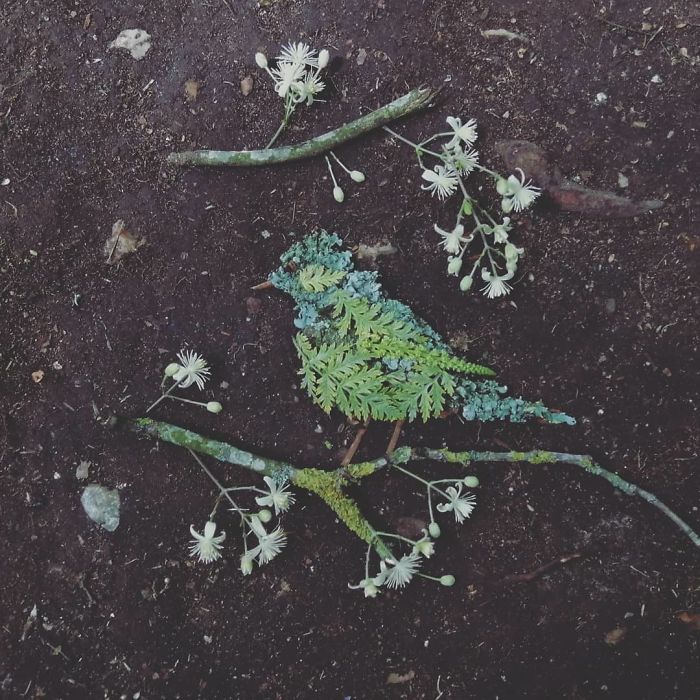 Plant-Flower-Birds-Hannah-Bullen-Ryner