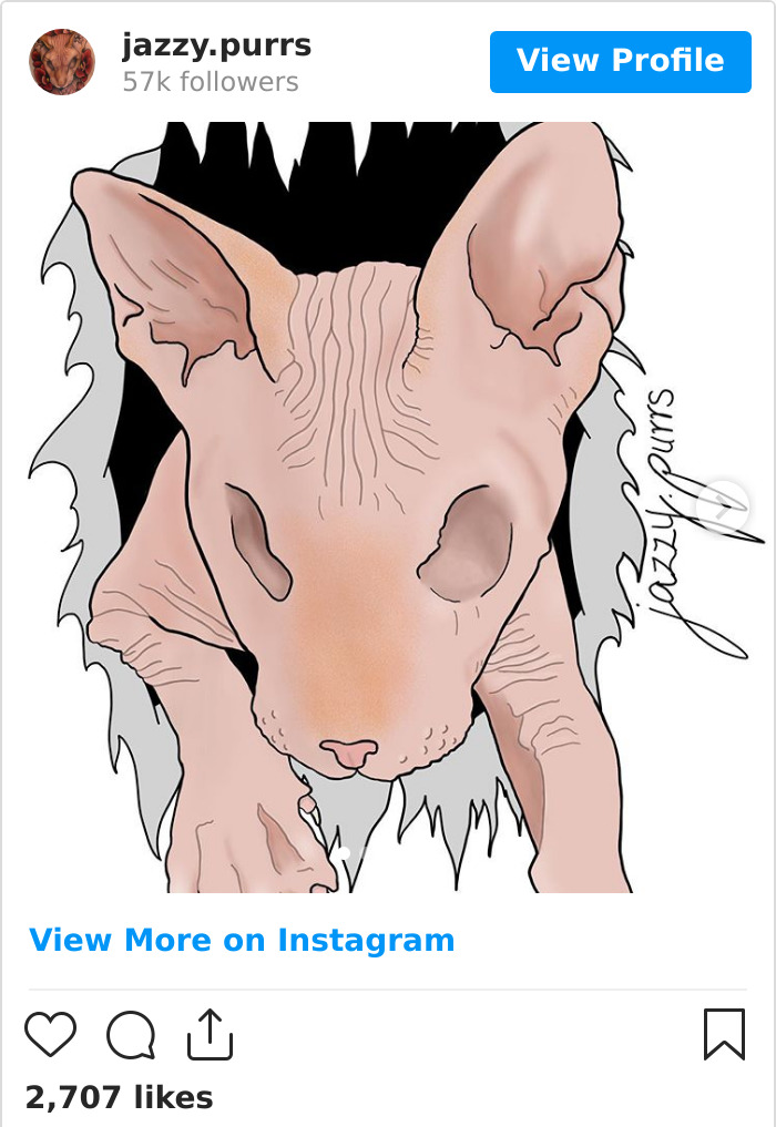 Jazzypurrs-Jasper-Cat-Sphinx-Eyeless