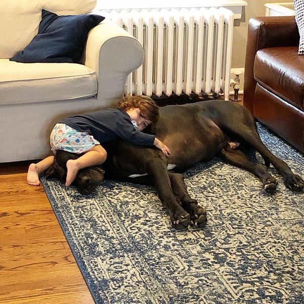 The Dog Days Of Summer