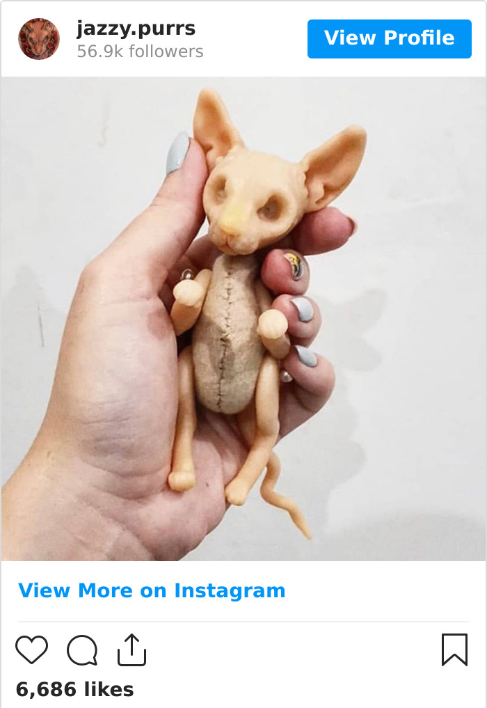 Jazzypurrs-Jasper-Cat-Sphinx-Eyeless