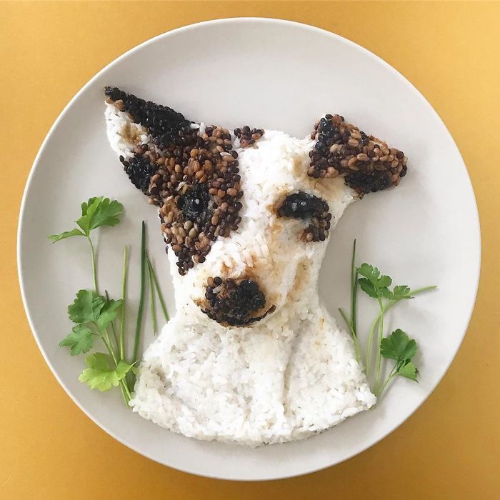 Food-Art-Animals-Demealprepper