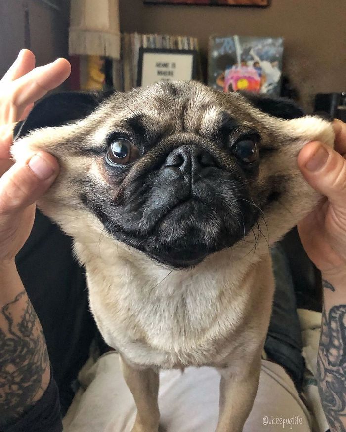 Mom And Dad Always Say I’m “Cheeky”