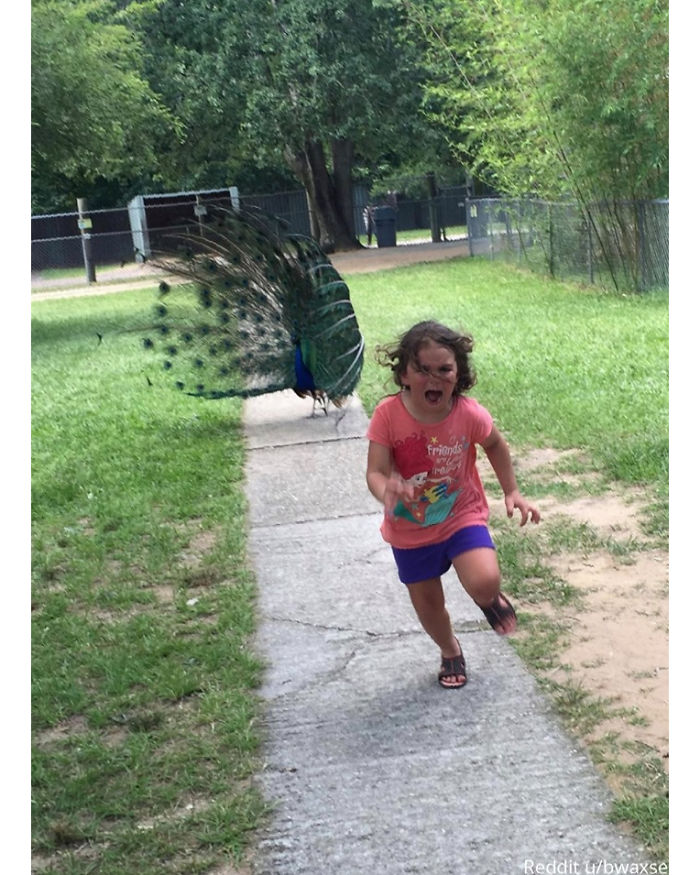 Awkward-Funny-Family-Photos