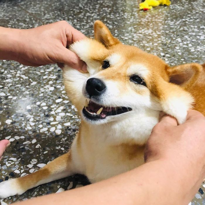 Look How “Mochiy” My Cheek Can Be