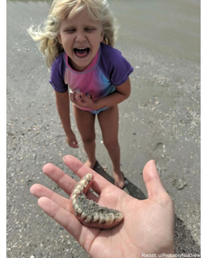 Awkward-Funny-Family-Photos