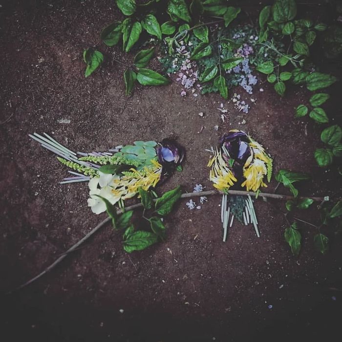 Plant-Flower-Birds-Hannah-Bullen-Ryner