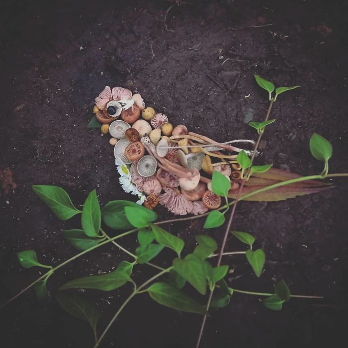 Plant-Flower-Birds-Hannah-Bullen-Ryner