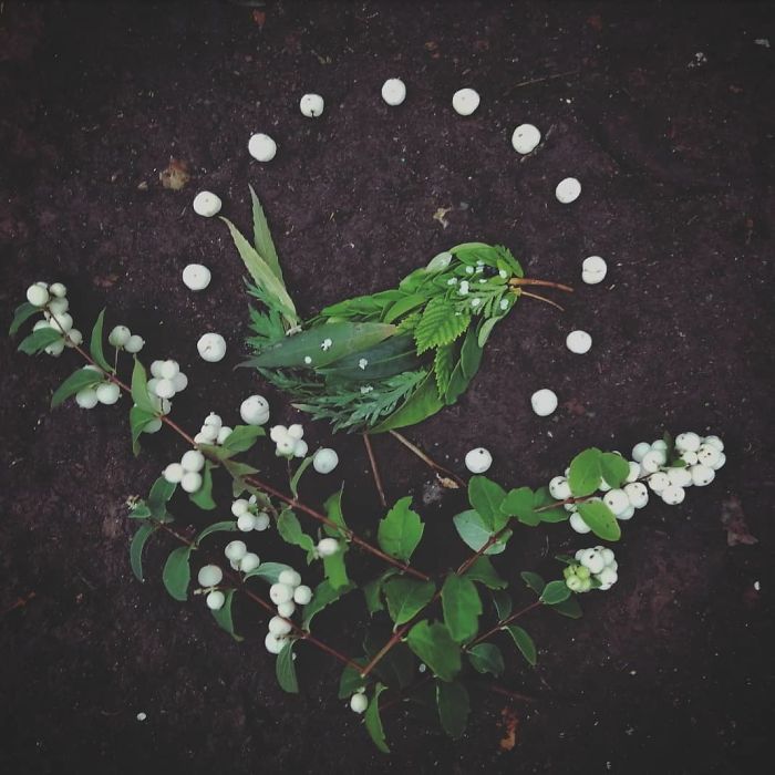 Plant-Flower-Birds-Hannah-Bullen-Ryner