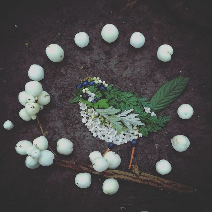 Plant-Flower-Birds-Hannah-Bullen-Ryner