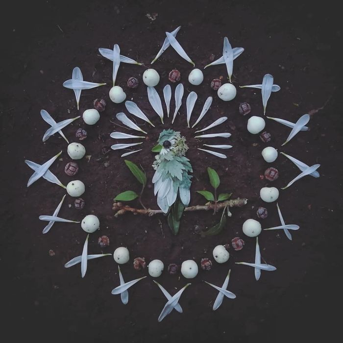 Plant-Flower-Birds-Hannah-Bullen-Ryner