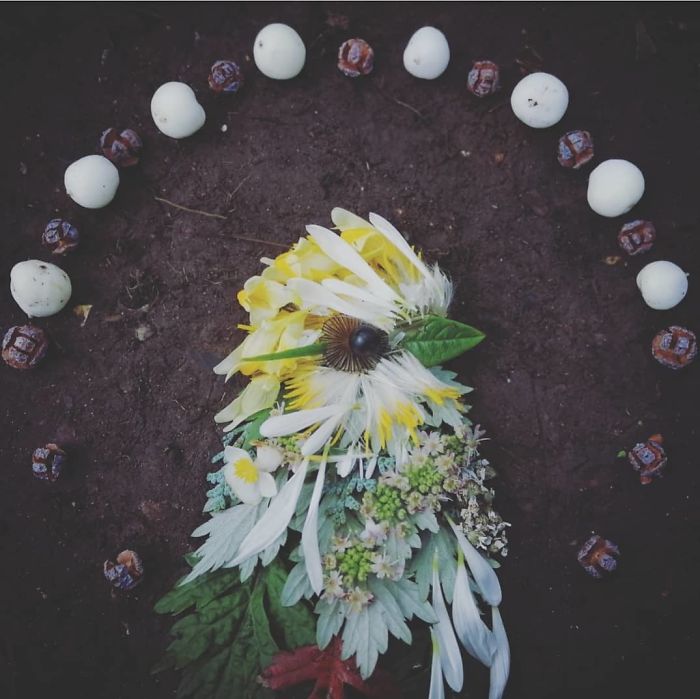 Plant-Flower-Birds-Hannah-Bullen-Ryner