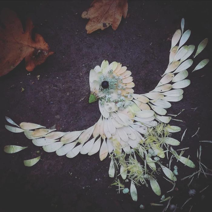 Plant-Flower-Birds-Hannah-Bullen-Ryner