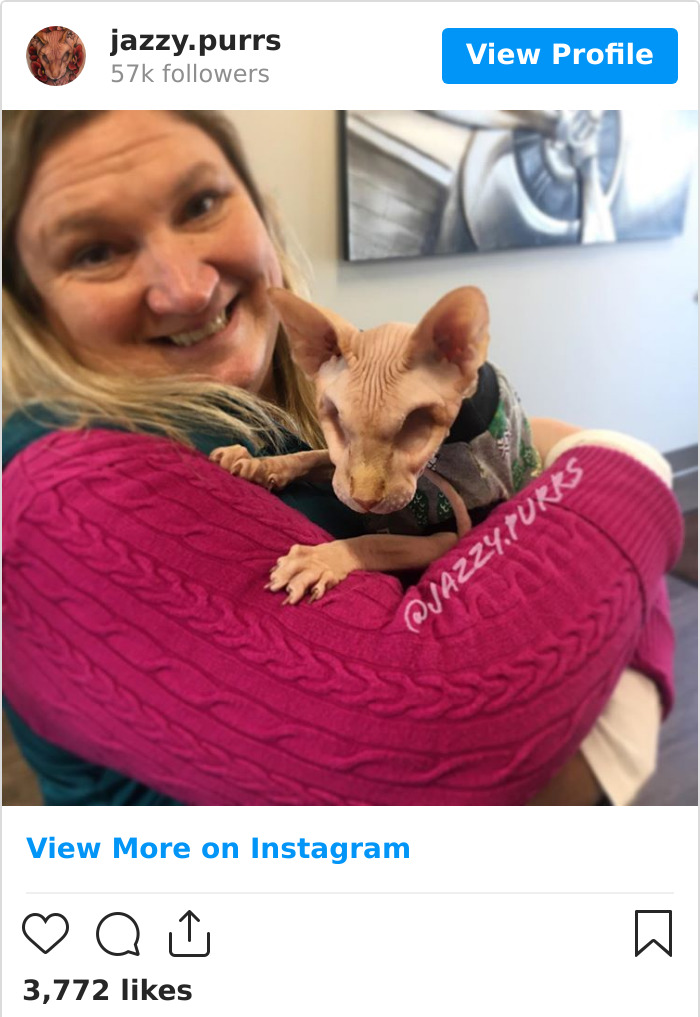 Jazzypurrs-Jasper-Cat-Sphinx-Eyeless