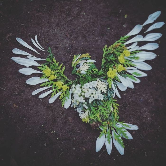 Plant-Flower-Birds-Hannah-Bullen-Ryner