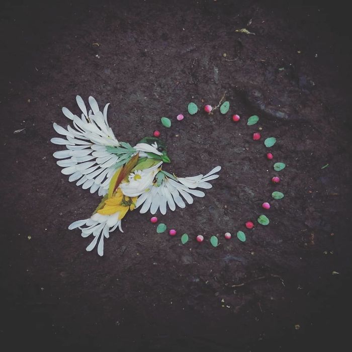 Plant-Flower-Birds-Hannah-Bullen-Ryner